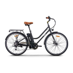 Beaster Beaster Scooter El. Bicycle BEASTER, BS111B