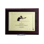 Tryumf Diploma is made of plastic with an engraved metal plate