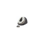 Bowl Bowl for animals, ceramic : Trixie Pets Home bowl, ceramic, 1.4