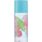 Elizabeth Elizabeth Arden Green Tea Sakura Blossom Eau De Toilette Tester, 100 ml Spray