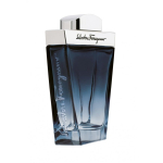 Salvatore Salvatore Ferragamo Subtil 100 ml Mehed