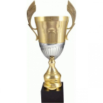 Tryumf Gold-silver metal cup 4128C