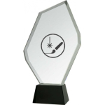 Detail Detail Engraved glass trophy with case + paint filler