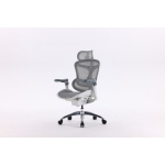 Sihoo Doro C300 ergonomic office chair, white