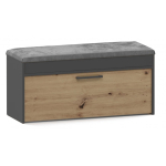 Topeshop PARMA SZAFKA ANT/ART kingariiul Suletud S&ouml;ehall, Tamm