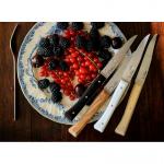 Opinel Table Knives Facette Set of 4 Mix