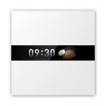 Aqara Display Switch V1