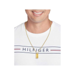 Tommy Tommy Hilfiger Gold-plated men's necklace with military insignia Jameson 2790628