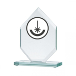Detail Detail Engraved glass trophy