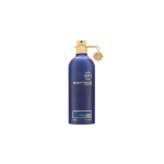 Montale Montale Paris Montale Aoud Ambre EDP U 100 ml
