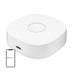 Smart Smart home WS2GW-R WiFi