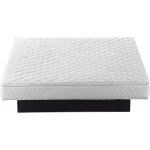 Mattress Mattress Beliani 140x200cm water bed mattress monster