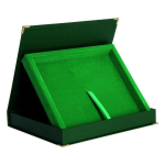 Tryumf Three-Dimensional Case horizontal green 250x200 (BTY1810/GN)