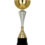 Detail Detail Gold and silver metal cup