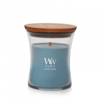 WoodWick Evergreen Cashmere vahak&uuml;&uuml;nal &Uuml;mmargune Roheline 1 tk