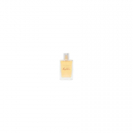 Victoria's Victoria's Secret Basic Instinct Eau de Parfum for women 100 ml