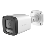 D-Link BCB-P01 turvakaamera Kuul (kuju) IP s&uuml;steemiga turvakaamera Hoonesisene & hoonev&auml;line 1920 x 1080 pikslit Sein