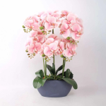 Home4You Orhidee &bdquo;GARDEN QUEEN&ldquo;, k&otilde;rgus 64 cm, helesinine roosa