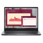 DELL Pro PC14250