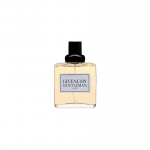 Givenchy Gentleman 100 ml Mehed