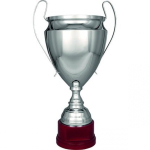 Tryumf CUP 2020C