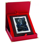 Tryumf Plastic diploma with engraved metal plate + case