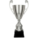 Detail Detail Silver metal cup TM
