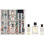 Terre Terre D&acute;Hermes SET EDT 50 ml + Shower gel 40 ml + Aftershave Water 40 ml