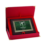 Tryumf Plastic diploma with engraving on a gold plate + CASE