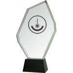 Detail Detail Engraved glass trophy with case