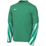 Nike Dri-Fit Park V Stadium laste T-s&auml;rk roheline HV8318 324 (S)