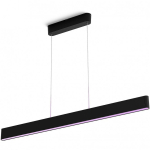 Philips Hue Ensis black 2x39W 24V