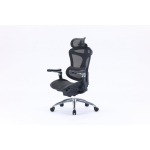 Sihoo Doro C300 ergonomic office chair, black