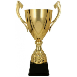 Tryumf DARKA 3133D golden metal cup