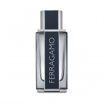 Salvatore Salvatore Ferragamo Ferragamo 100 ml Mehed