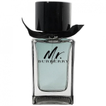 Burberry, Burberry, Mr. Burberry, Eau De Toilette, Meestele, 100 ml *Tester