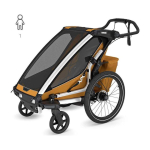 Thule Chariot Sport 2 - single seat bicycle trailer | G3 natural gold