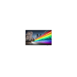 Philips 55BFL2214/12 infoekraan 139,7 cm (55") LED WiFi 350 cd/m&sup2; 4K Ultra HD Must Android TV