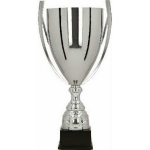 Detail Detail Silver metal cup BASTERS