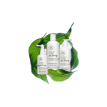 Paul Paul Mitchell Tea Tree Scalp Care Regeniplex Shampoo 1000 ml