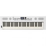 Roland GO:KEYS 5 White MIDI-klaviatuur 61 klahvid USB/Bluetooth Valge