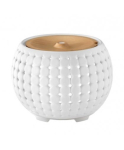Ellia ARM-910WT-WW Gather Ultrasonic Essential Oil Diffuser