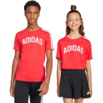 Laste Laste T-s&auml;rk adidas Codes Collegiate Graphic punane JI6673 (164cm)