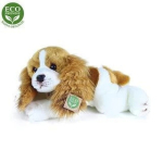 RAPPA Plush Cavalier King Charles spaniel koer, lamav 30 cm