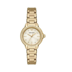 Women's Women's watch EMPORIO ARMANI MIA AR11609 (zi545a)