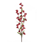 Eurofirany KW/FLORE/863/JUN Punane