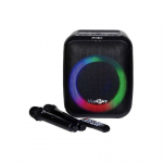 Madboy Madboy Audio MadBoy TOTAL S akkuk&auml;ytt&ouml;ine karaokeseade juhtmevabade mikrofonidega