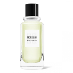 Givenchy Monsieur 100 ml Mehed