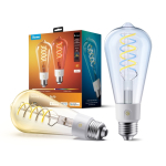 Govee nutikas Edison E27 nutipirn, 500 lm, 2 tk
