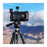 Leofoto Leofoto King Kong LVC-193C+BV-15 tripod